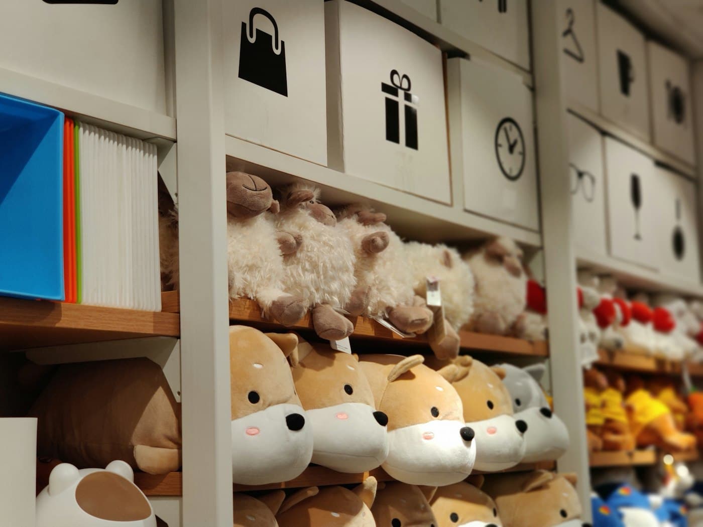 Disney collection