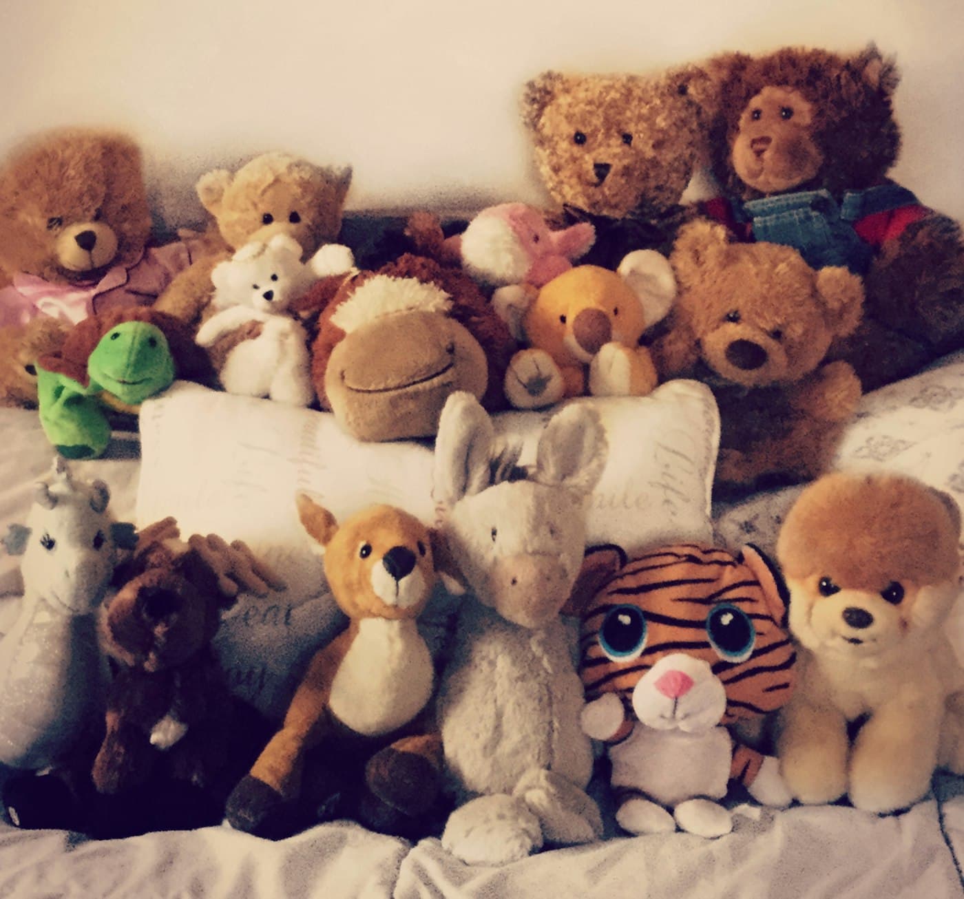 Sanrio collection